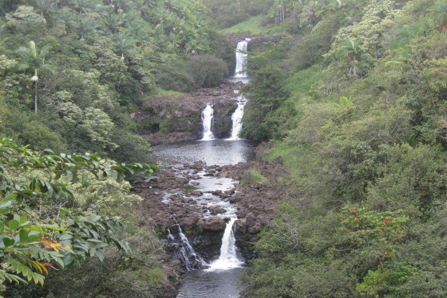 ../image/world botanical gardens - umauma falls 2.jpg